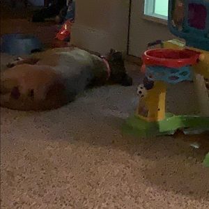 Meet your Posher, Brandon